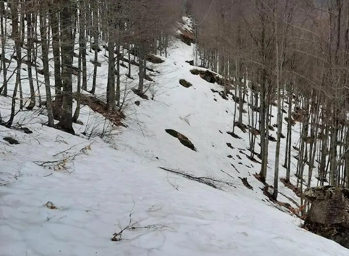 Rilassati Al Corno Alle Scale