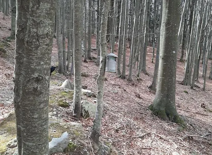 Rilassati Al Corno Alle Scale