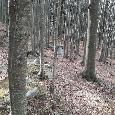 Rilassati Al Corno Alle Scale